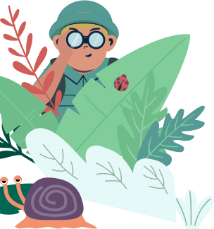 Illustration d'un explorateur caché derrière des feuilles, observant les alentours avec une paire de jumelles